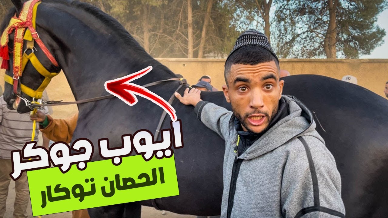 🚨سوق الخميسات اليوم داز حماسي 🔥ايوب جوكر ذخل حصان 🐴الملقب بتوكار ايت العطار مشري بدرهم ✅