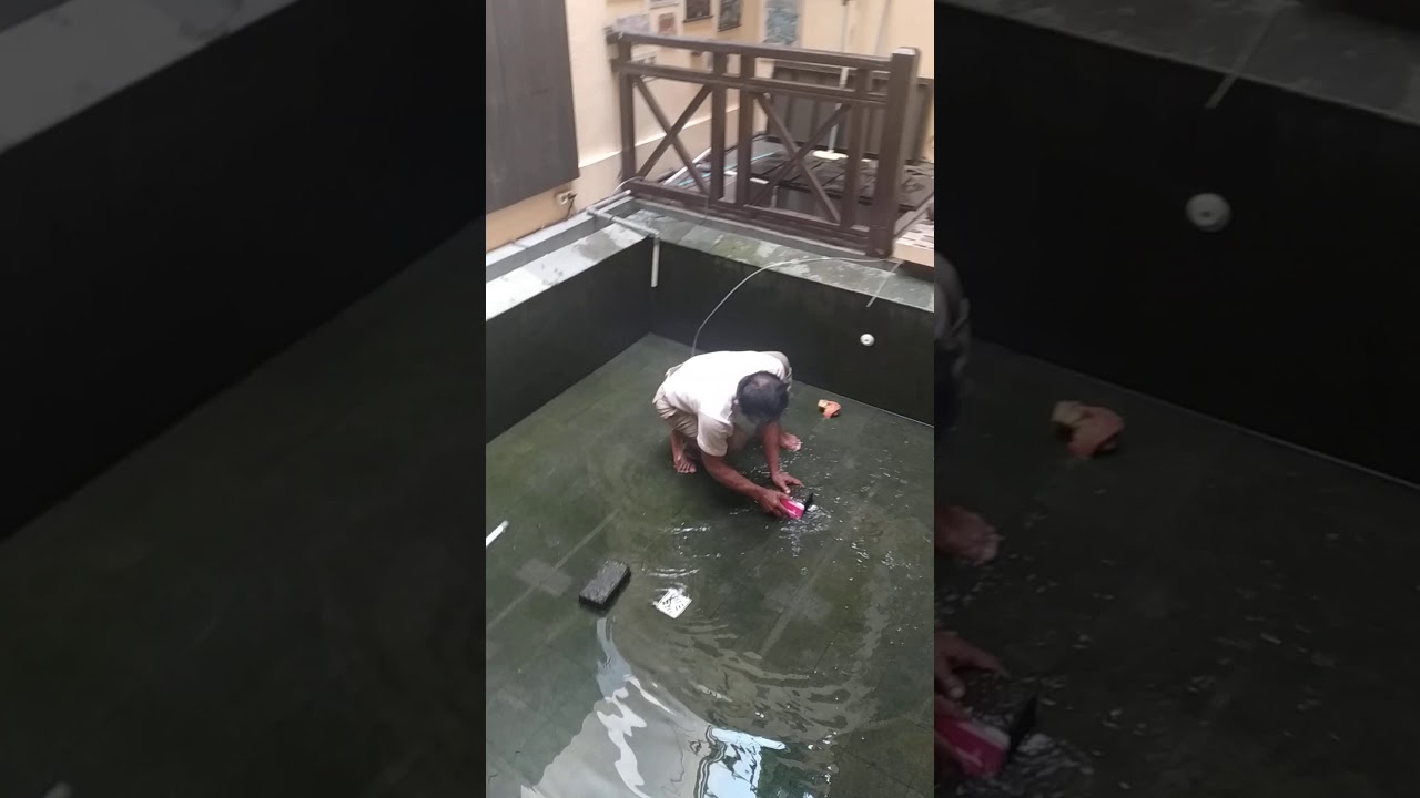 Cara ternak ikan koi 