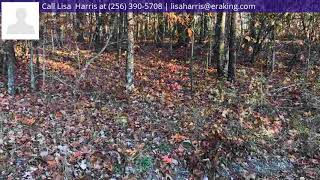 0 Boyd Drive, Gadsden, AL 35901 - MLS #1138001