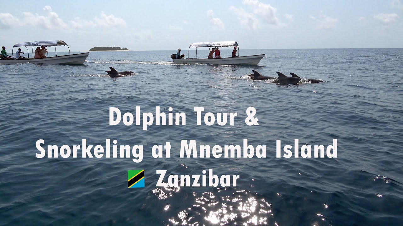 zanzibar dolphin tour