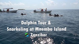 Mnemba Island dolphin \& snorkeling tour Zanzibar 🇹🇿 4K