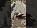 Glass bottle rolling down stairs 202606131831
