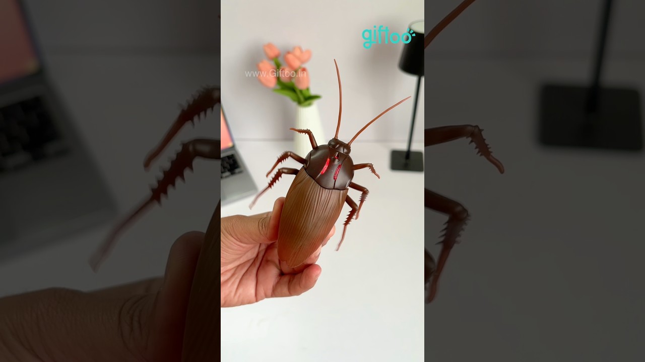 RC Insect Prank Gift 🪲✨