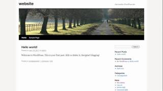 How to replace a background in twenty ten wordpress theme.mov