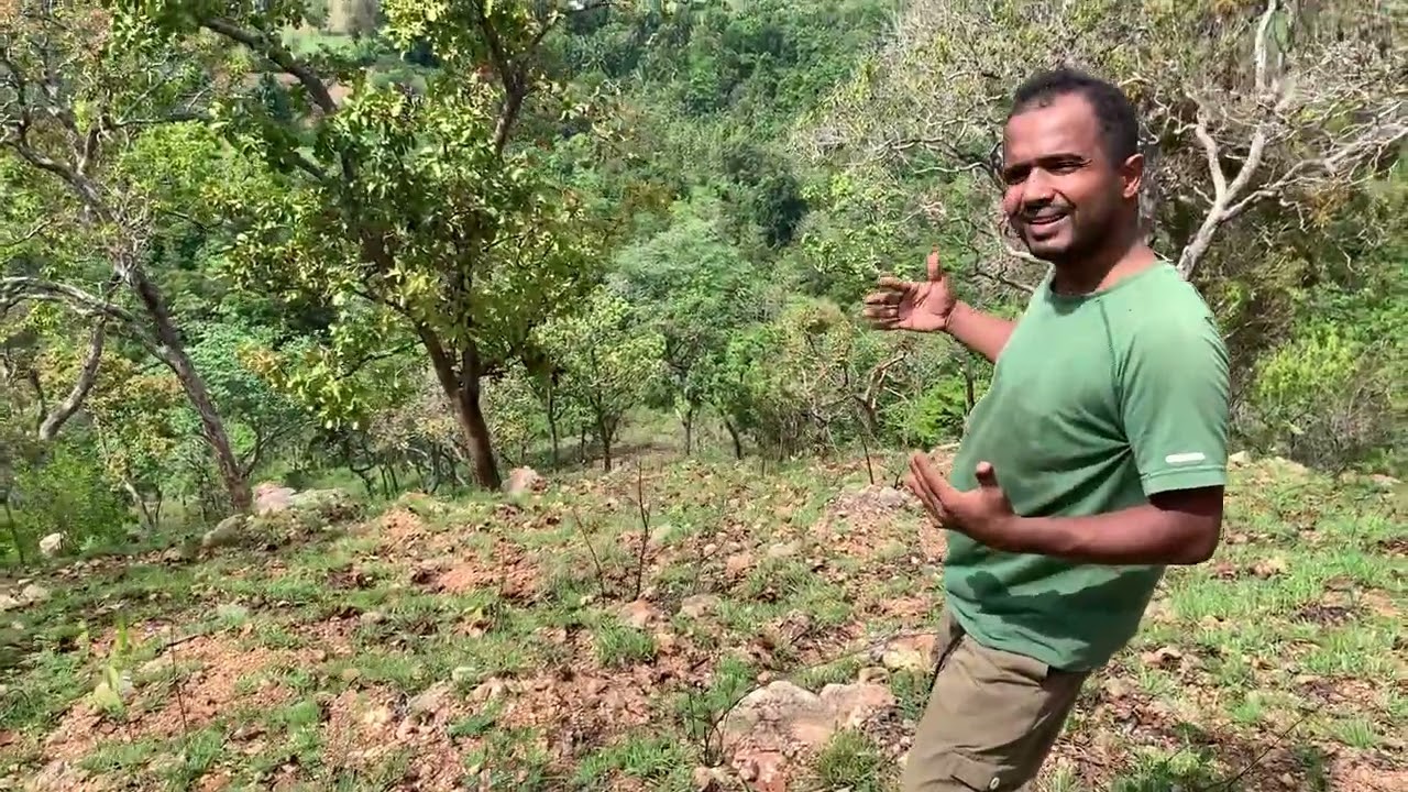 Explaining our reforestation Project  Restoring Degraded Hills in Sri Lanka