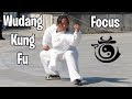 Improve your kung fu focus  vlog 58  return to wudang