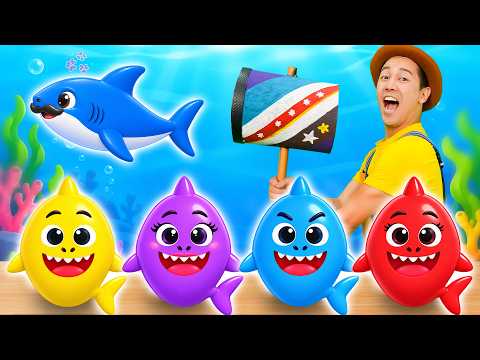 Baby Shark in a Surprise Egg! 🦈🥚 | TigiBoo Kids Songs