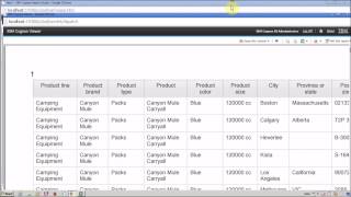 IBM Cognos 10 Report Studio Pagination