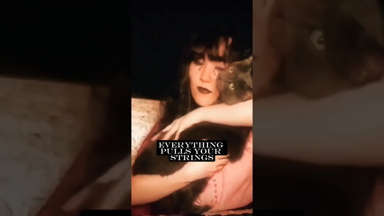 my favorite part of the hunted MV, at this point its becoming a tradition to include my cats ☆♡