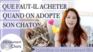 que faut il acheter quand on adopte un chaton ou un chat