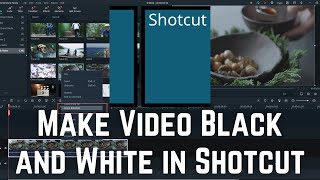 How to Make Video Black and White in Shotcut