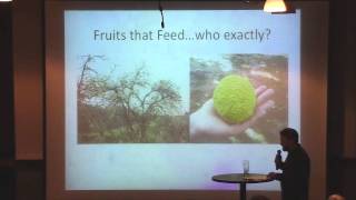 Nerd Nite Chicago - The Booty Coconut and Other Fruity Delights, by Seth Harper