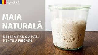 Drojdie de Casă, cum se face o Maia Naturală, Rețeta pas cu pas