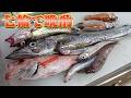 【七輪で晩酌】いろんな魚でお鍋！来年の目標は...