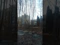База отдыха "ЛипекКурорт" #липецк #турбаза #базаотдыха #парк #курорт