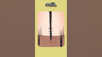 ഇത്തിരി നേരം ഒത്തിരി കാര്യം - EP 16