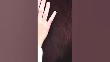 قصيدة ورجوت عيني كي تكف دموعها كامله لكل من فارق احبته 