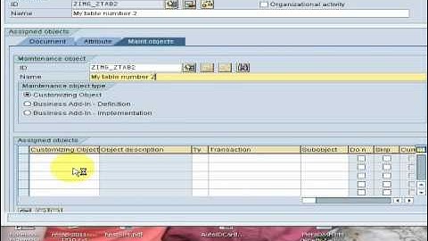 SAP ABAP custom IMG structure