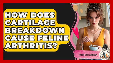 How Does Cartilage Breakdown Cause Feline Arthritis? - Happy Cat Handbook