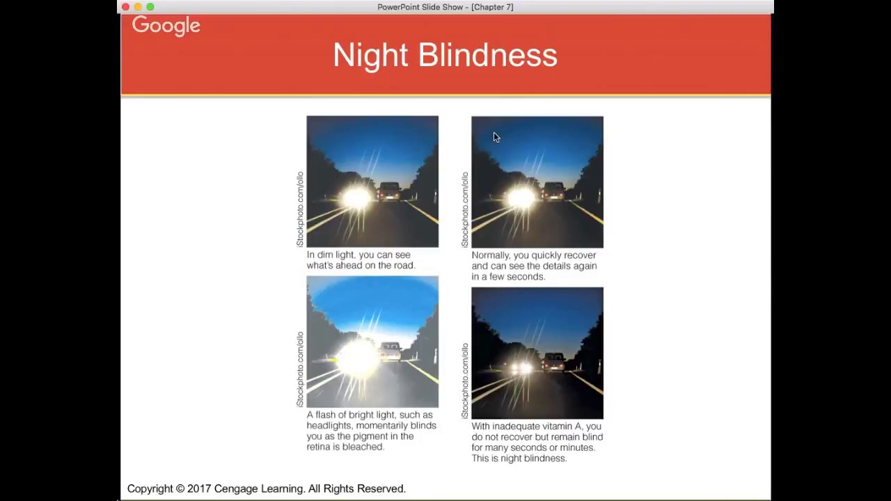 Chapter 7: The Vitamins