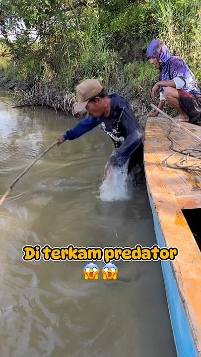 Menegangkan!!!😱Detik-detik pria ini di terkam predator!!!😱😱 #mancing #fishing #predator #babon