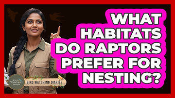 What Habitats Do Raptors Prefer For Nesting? - Bird Watching Diaries