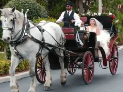 Holly and Cagney Wedding Part 0001