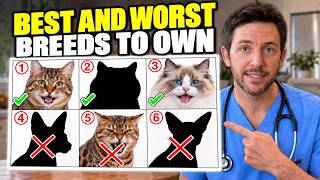 The Best (and Worst) Cat Breeds for First Time Owners