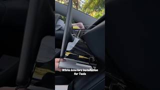 Must have Tesla accessories #teslamodely #teslaaccessories #model3 #carfinds