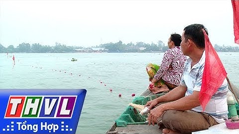 THVL l Ký sự truyền hình:  Mùa cá bông lau