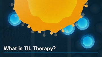 What is TIL Therapy?