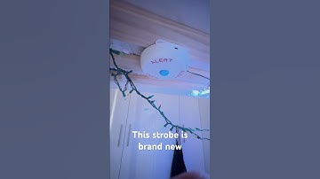 My Brand New wheelock blue strobe