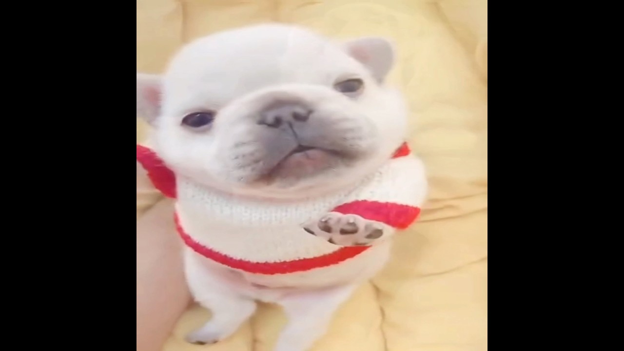 CLEAN MY BELLAY OOHH WASH MY BELLAY