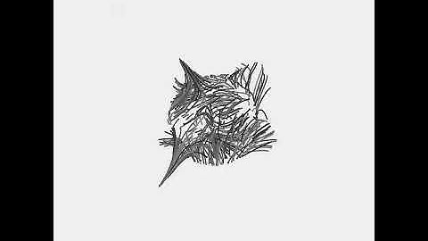 grow and wither. Draw by openFrameworks