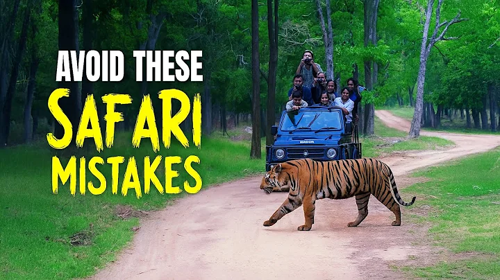Ultimate Guide to Jungle Safaris in India: Bookings, Mistakes & Wildlife Secrets! thumbnail
