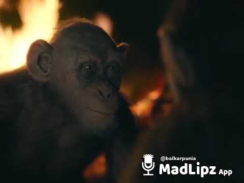 madlips-app-best-video-ever-in-the-world