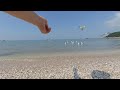 3D VR : Feeding the Seagulls #2  (slow version)