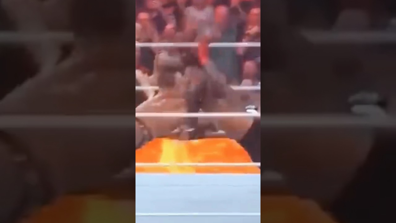 WWE Roman Reigns vs Randy Orton vs LA Knight vs AJ Styles Undisputed Championship Full Match