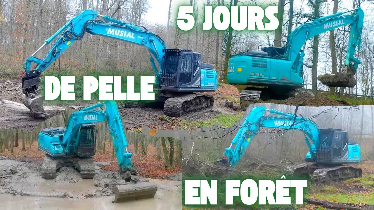 5 jours de pelle en forêt de Retz. Restauration de mares pour l'ONF 