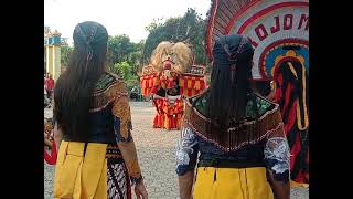 acara setiap hari raya idulfitri reog Ponorogo di kantor desa Kedung putri👍👍