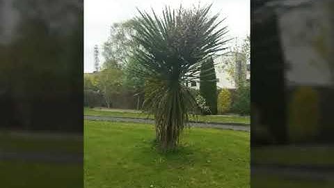 My Intro(plz read description)