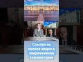 Эрмитаж и «жутко озлобленное общество» в России.