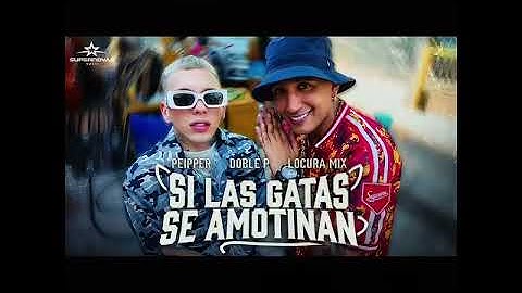 SI LA GATA SE AMOTINAN - Peipper, Doble p, Locura mix 🇦🇷@EsElPeipper @LOCURAMIX @viralhog