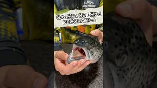 Cabeça de peixe empalhada #pesca #fyp #tutorial #peixe #dicas