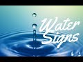 WATER SIGNS (Cancer, Scorpio & Pisces) | Hannah's Elsewhere