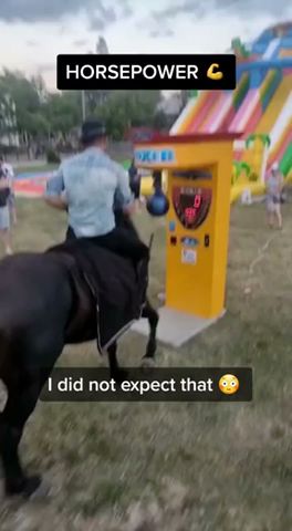 HORSE VS PUNCH MACHINE - Who Will Win?!