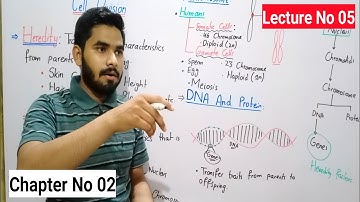 Heredity And Heredity Basis Class 8 In Urdu Hindi By Haider Ali || Lec# No 05 || Chapter No 02