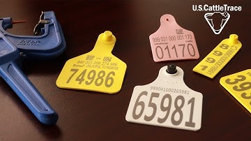 RFID Cattle Tags and Their Usage On Your Operation
