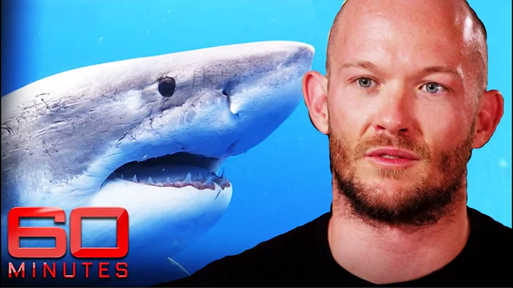 Brave shark attack survivor wants the predators pr...