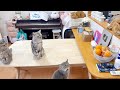 うちのカミさんがね...